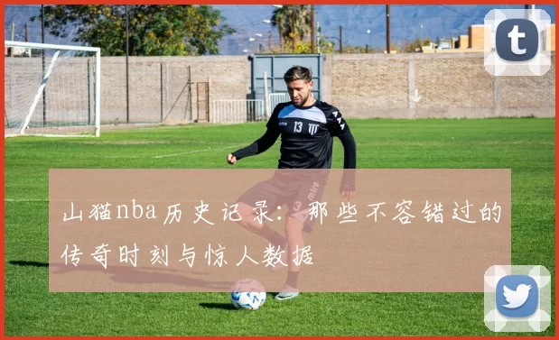 山猫nba历史记录：那些不容错过的传奇时刻与惊人数据
