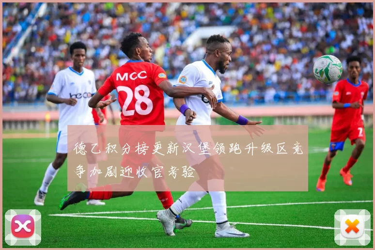 德乙积分榜更新汉堡领跑升级区竞争加剧迎收官考验