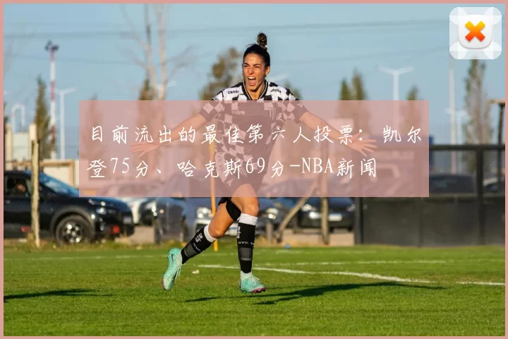 目前流出的最佳第六人投票：凯尔登75分、哈克斯69分-NBA新闻