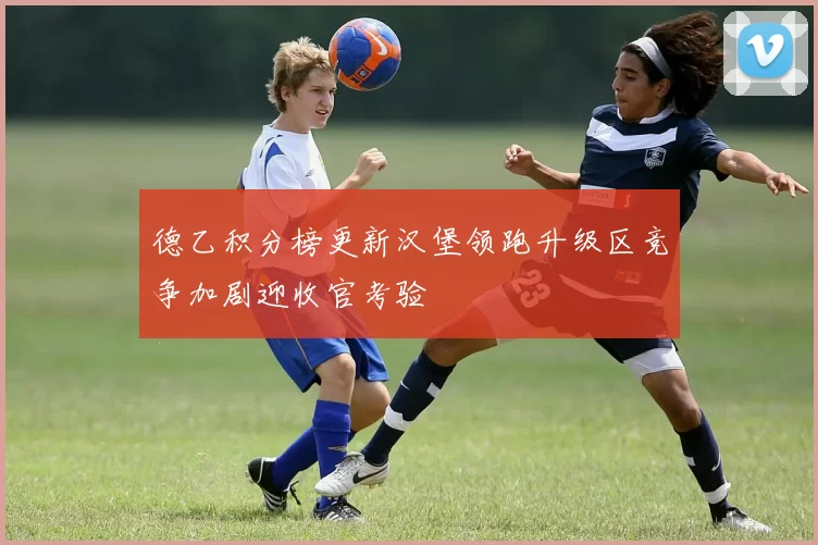 德乙积分榜更新汉堡领跑升级区竞争加剧迎收官考验